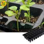 45 hole seed tray for nursery seedlings and plant propagation
