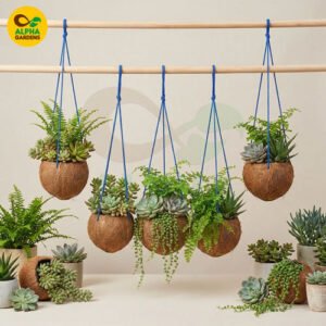 Hanging Coconut Planter