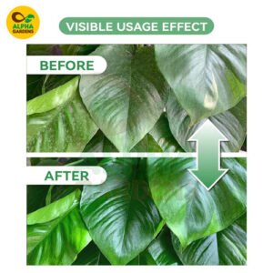 Perfect Plant Leaf Shiner spray for indoor plants providing natural glossy shine, dust protection, and healthy foliage