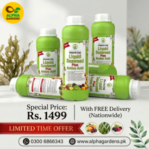 Liquid Sea Weed+Amino Acid