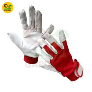 Red & White Gloves