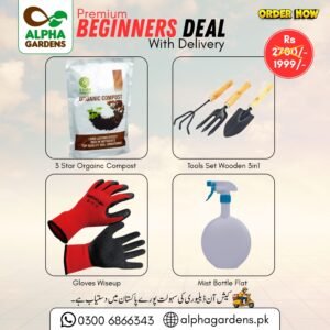 Premium Beginners Deal