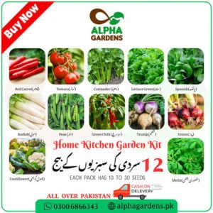 Kitchen Gardening Seed Deal