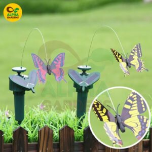 Solar Garden Butterfly