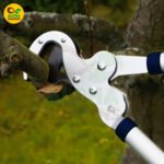 A Spear & Jackson Lopper 8160RS Razorsharp 26" heavy duty anvil lopper with blue and white aluminum handles. It features a PTFE-coated serrated anvil blade for cutting dead or woody branches up to 45mm thick.