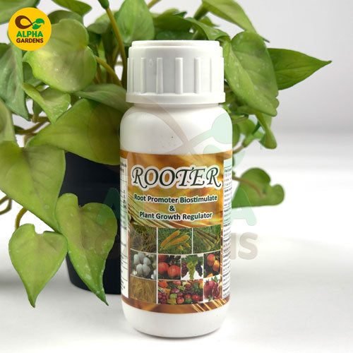 Rooter – Powerful Rooting Hormone & PGR for plants, promotes rapid root development, stronger roots, and vigorous plant growth